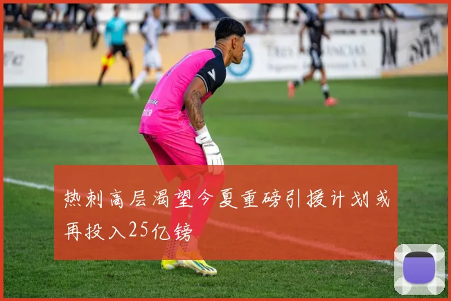 热刺高层渴望今夏重磅引援计划或再投入25亿镑